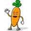 Mr. Carrot