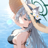 一只BA来的sensei