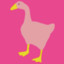 pink_goose