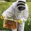 beekeeper