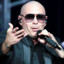 Pitbull Mr305