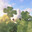 magewire