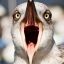 Le Seagull