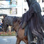 horses
