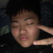 botnodamdiec