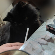 EndryTzy - steam id 76561198760366119