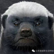 你好，我叫小猪乔治，你可以舔我猪鸡儿么？