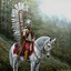 Generał husarii