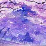 是我喜欢的虎枪，绽放