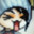 xtremefyre avatar
