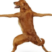 她才16却没守住B