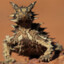 -=+[REPT]+=- Thorny Devil