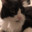 Roboticcat