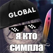 не КОТИК а КОТ tastyg