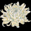 Chrysantheays