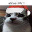 be jolly!