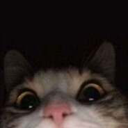 SUGAR - steam id 76561198026835980