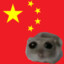 中国仓鼠