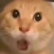 我可以哈你吗？