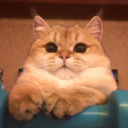 虫需云力白勺虫且