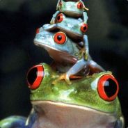 guitou148 - steam id 76561197971050577