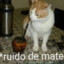 Quibe_Xinha ★ 22