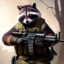 raccoonmash