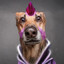 Avatar of player убийца рекрутов