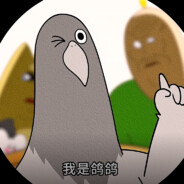 我不是鸡 我是鸽鸽