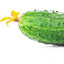 Cucumber