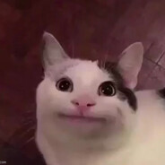 Her Nerdeysen Steam avatar