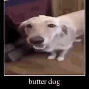 butter dog, dog with the