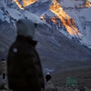 樱花不及你半分