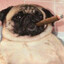 Just_A_Little's avatar