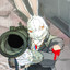 krolik38