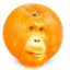 Orangg