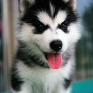 你老公出门了吗