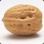 Duke of Nut