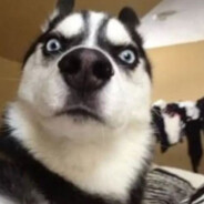 爆炒韩红舌吻刘欢