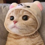 A1高闪能仍明白吗？