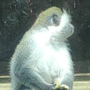 忆峥嵘岁月，看今朝辉煌！