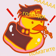 kolya DUCK