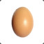 egg