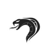 Cobra - steam id 76561199126111438