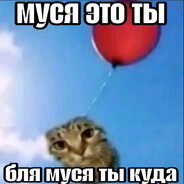 ЯЙКИ