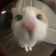 StudzeKisiel avatar
