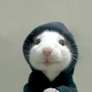 nyc street rat