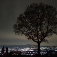 若辰欧巴一米五