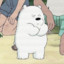 Ice Bear