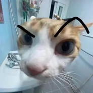 银雀山不是汉简